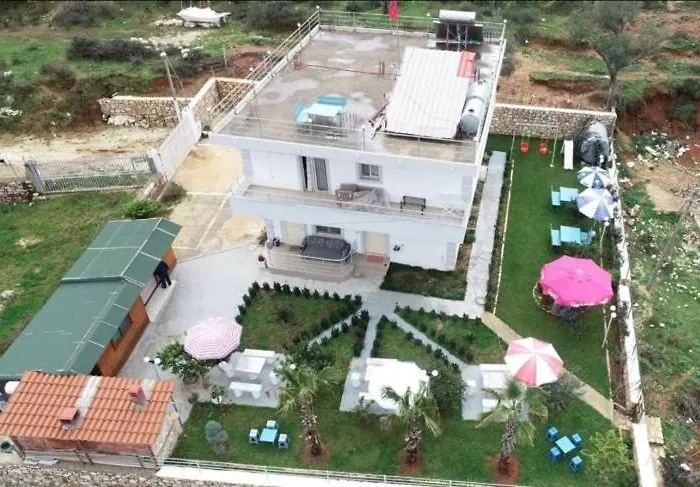 3 Palmat 卡萨米尔